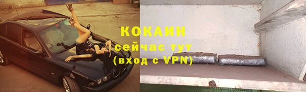 индика Абинск