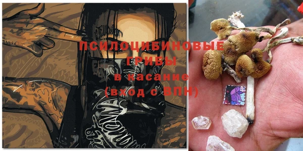 индика Абинск