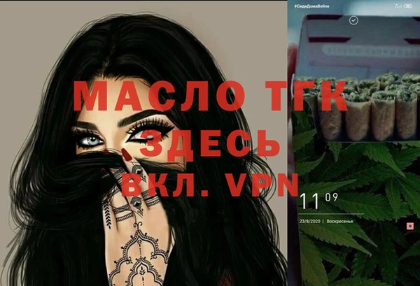 индика Абинск