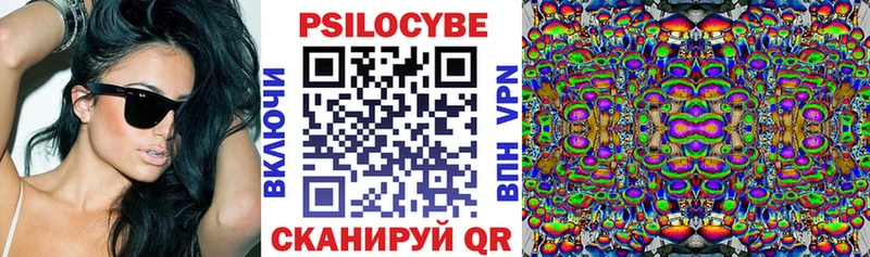 где купить наркотик  Абдулино  Галлюциногенные грибы MAGIC MUSHROOMS 